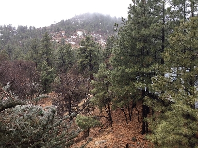 view from deck.JPG